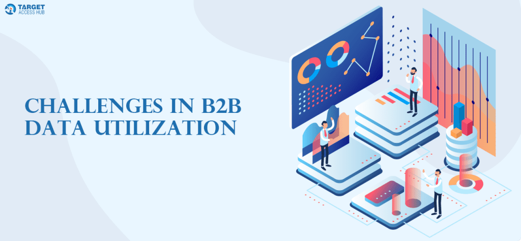 B2B Data Utilization