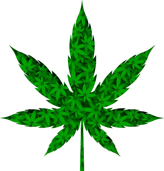 hemp